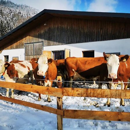 Vila Biobauernhof Und Ferienhaus Riederbauer Rettenschöss Exteriér fotografie