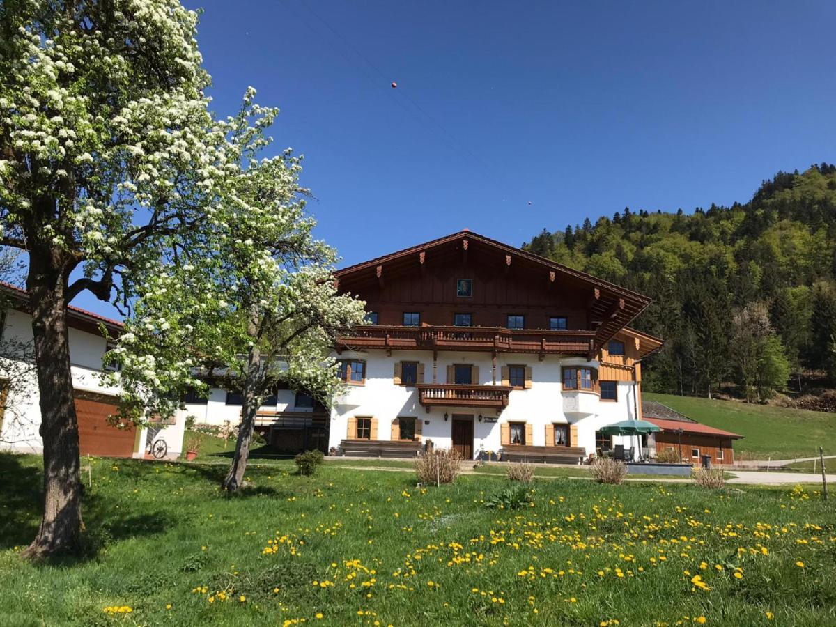 Biobauernhof Und Ferienhaus Riederbauer Rettenschöss Exteriér fotografie